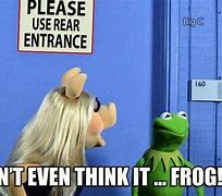 Image result for Kermit Humor