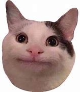 Image result for Cats 2019 Meme