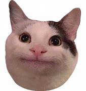 Image result for Sad Cat Meme Wallpaper