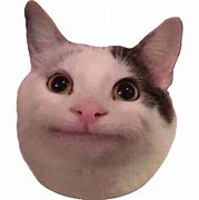 Image result for Cat Meme PNG