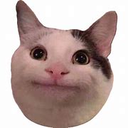 Image result for Cat Mask Meme