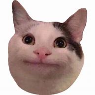 Image result for Cat. Emoji Meme Transparent Background