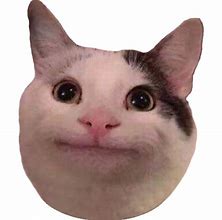 Image result for Sad Cat Meme Face.png