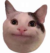 Image result for Cat Meme White Background