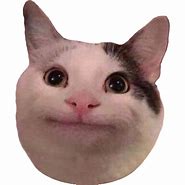 Image result for Cat Meme Face PNG