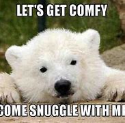 Image result for Snuggle Bear Meme