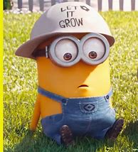 Image result for Minions Pinterest