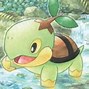 Image result for Angry Turtwig