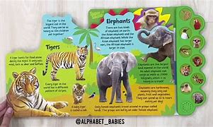 Image result for The A to Z Book of Wild Animals