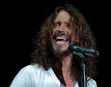 Image result for Chris Cornell Singles Cameo