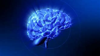 Image result for Super Brain GIF