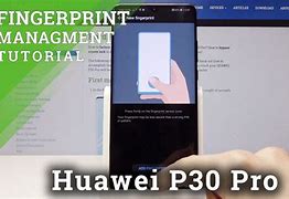 Image result for Huawei P30 Pro Fingerprint