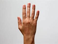 Image result for Back of Hand