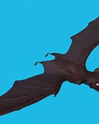 Image result for Vampire Bat Animated
