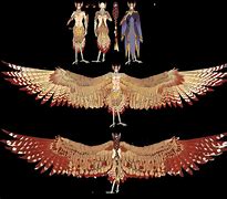 Image result for Wings On Human