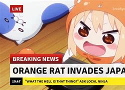Image result for Breaking News Anime Memes