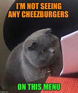 Image result for Cat News Meme. Cheezburger