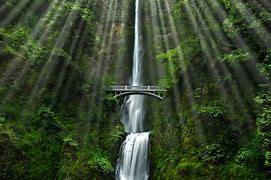 Image result for Famous Nature in North America