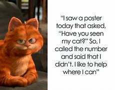 Image result for Cat Laugh Funny Jokes