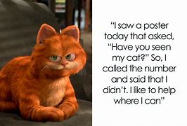 Image result for Cat Funny Jokes Short