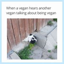Image result for Alien Vegan Memes
