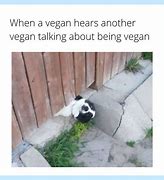 Image result for Vegan Humor