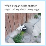 Image result for Vegan Funny