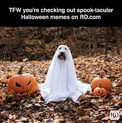 Image result for Ready for Halloween Memes