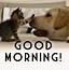 Image result for Funny Greeting Phrases