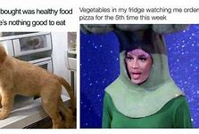 Image result for No-Diet Meme