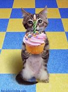 Image result for Happy Birthday Fun Cat Memes