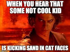 Image result for Sand Cat Memes