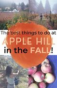 Image result for Apple Hill Camino CA