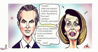 Image result for Newsom and Pelosi Related Cartoon