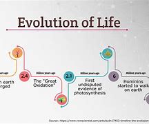 Image result for Interactive Evolution Timeline