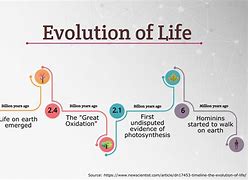 Image result for Who Invented Life