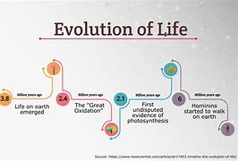 Image result for Timeline Evolution Infographic