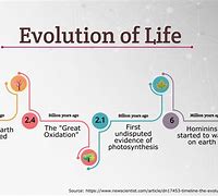 Image result for Origin of Life and Evolution