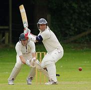 Image result for Cricket Hit