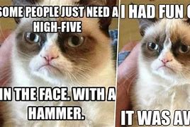 Image result for Grumpy Cat Dead Memes Funny