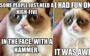Image result for Grumpy Cat Memes Death