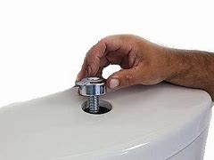 Image result for Wirquin Single Flush Button