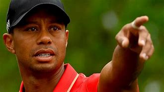 Image result for Tiger Woods Partner