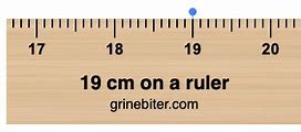 Image result for How Big Is 19Cm