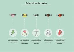 Image result for Taste Profile Chart