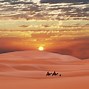 Image result for North African Plants
