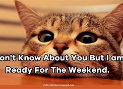 Image result for Cute Weekend Quotes