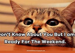 Image result for Short Weekend Meme