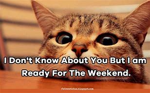 Image result for Jokes About Weekends