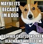 Image result for Dog Memes About Work